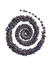 Isolated Illustration Of A Purple Lavender Spiral On A Black Background