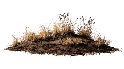 Dry grass on a mound of dark soil isolated on black background