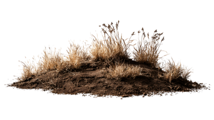 Dry grass on a mound of dark soil isolated on black background