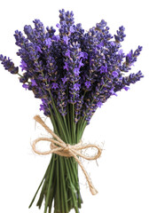 Fototapeta premium Isolated Photo Of Lavender Floral Bouquet With Purple Blossoms And Green Stems