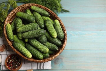 Making pickles. Fresh cucumbers and other ingredients on light blue wooden table, flat lay. Space for text