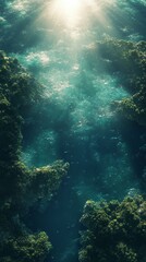Water Stream Through Forest with Sunbeams Glimmering Above