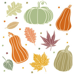 Set of hand-drawn autumn leaves and pumpkins. Minimalist Autumn and Halloween collection with various pumpkins and leaves in different shapes. Perfect for seasonal decoration, prints, stickers,cards.