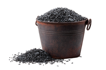 Black sunflower seeds in rustic bucket abundance harvest nature