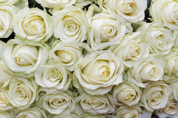 Beautiful bouquet of white roses. Bunch of many colorful fragrant flowers. Floristry and floral design concept. Floral texture