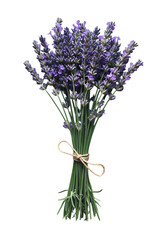 Fototapeta premium Isolated Purple Lavender Bouquet Illustration With Transparent Background