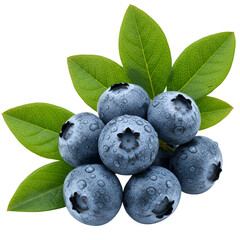Isolated Photo of Fresh Blueberries with Green Leaves on Transparent Background