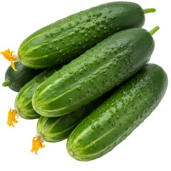 Isolated Photo of Fresh Green Cucumbers with Yellow Blossoms on Transparent Background