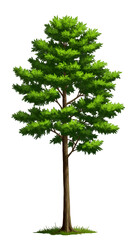 Isolated Realistic Green Tree Illustration With Transparent Background