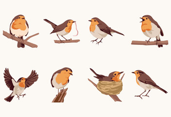 A collection of eight illustrations depicting European robins in various poses, including perched on branches, flying, nesting, and holding nesting material.
