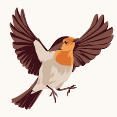 Illustration of a robin bird with brown wings and tail, orange breast, and white belly, depicted in flight against a plain background.