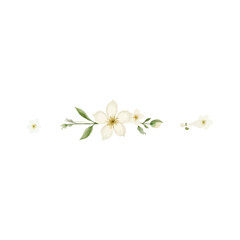 Fototapeta premium watercolor jasmine flower