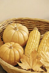 A rustic basket filled with ripe pumpkins, golden corn, and autumn leaves for a festive harvest display