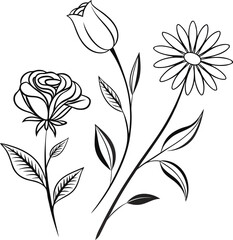 Wildflower Botanical Illustration Set - Hand Drawn Daisy, Poppy, and Lavender Flower Vector Collection