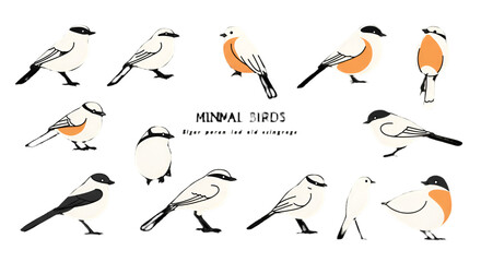 Pixel Art Birds Illustration Set On Black Background Isolated PNG