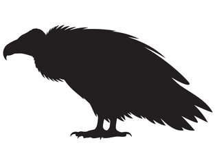 VULTURE BIRD SILHOUETTE