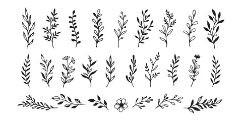 Black botanical elements and floral sprigs leaves branches