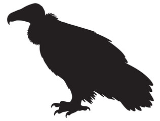 VULTURE BIRD SILHOUETTE