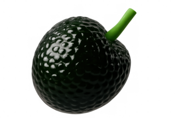 3d black avocado model spinning, revealing green stem against transparent backdrop, highlighting fresh organic produce design