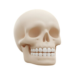 Realistic 3D Render of a Human Skull on a Transparent Isolated Background
