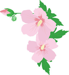 대한민국 상징 국화 무궁화꽃