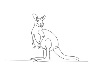 Wild kangaroo in single outline illustration. Continuous line art drawing of kangaroo animal.