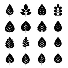 Leaf Collection: A minimalistic collection of meticulously crafted leaf illustrations, each displaying unique and elegant forms in a display of nature's diverse shapes.