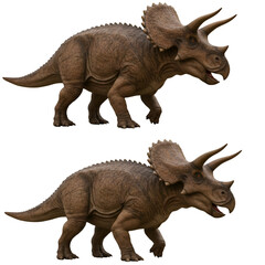 Fototapeta premium Realistic Illustration Of A Triceratops Dinosaur Isolated With Transparent Background
