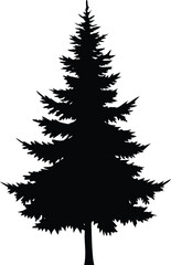 Black Silhouette Illustration of a Pine or Spruce Tree