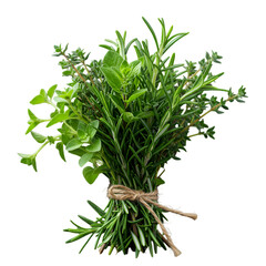 Realistic Photo Of Fresh Herbs Bundle Isolated On Transparent Background