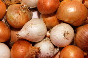 A variety of onions in different colors and sizes, including yellow, white, and red onions