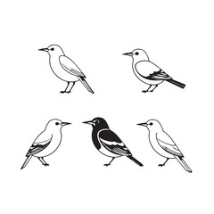 Minimal bird set vector design concept black and white illustration.