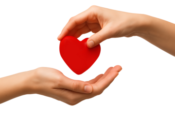 Concept of giving and receiving love, featuring two hands carefully cradling a bright red heart shape for Valentine's Day, charity, or cardiology concepts