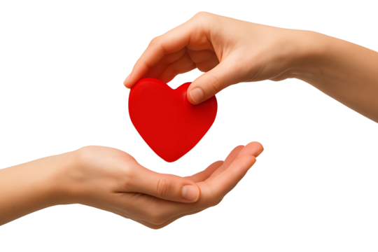 Concept of giving and receiving love, featuring two hands carefully cradling a bright red heart shape for Valentine's Day, charity, or cardiology concepts