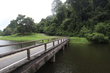 Bridge amidst Tranquility: A serene landscape featuring a bridge gracefully spanning a tranquil lake, surrounded by lush greenery and the beauty of nature, offering a sense of peace and solitude.