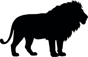 Majestic lion silhouette powerful king of beasts