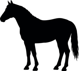 Black horse silhouette standing