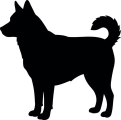 Black silhouette husky dog standing profile © Taslima