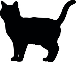 Black cat silhouette standing profile isolated