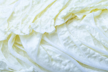 Macro cabbage,Macro shot of the cabbage ,White cabbage in section. Cut cabbage. Light leaves of early cabbage.