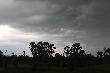 Cloudy sky and trees: A landscape that creates atmosphere. capture the drama, the peace and serenity.