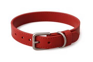 Red leather dog collar with metal buckle, isolated on transparent background, ideal for pets and animal lovers