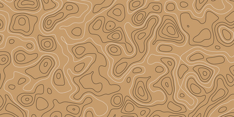 Minimalist modern contour drawing. Luxury line art background vector. Topographical line map. Geographic mountain contours vector background. Generated conceptual elevation map.
