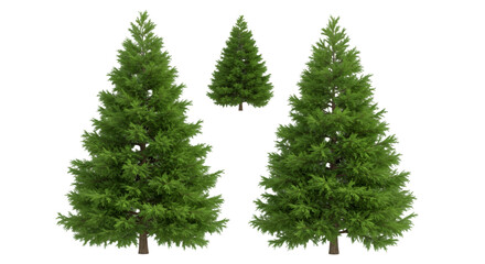 Realistic Green Pine Trees Isolated On Transparent Background Illustration