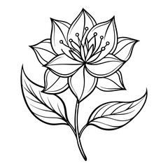 vector black and white flower