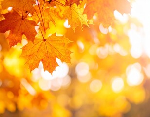 autumn leaves background