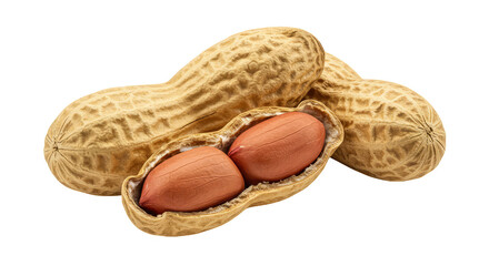 Realistic Photo Three Peanuts One Open Isolated