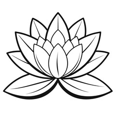 lotus flower vector
