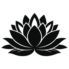 vector illustration of water lili flower