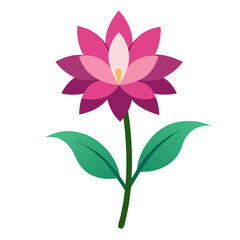 vector illustration of a flower